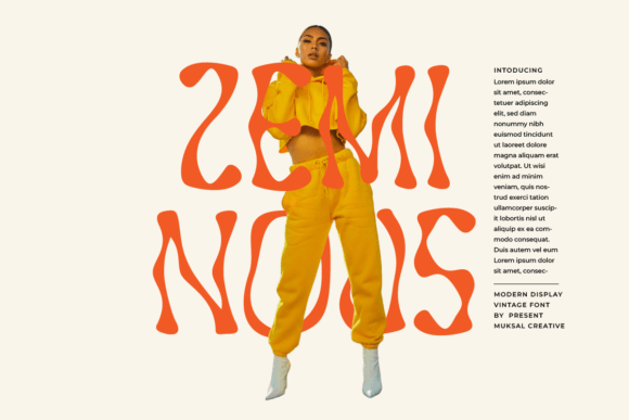 Zeminous: A Retro Display Font with Character